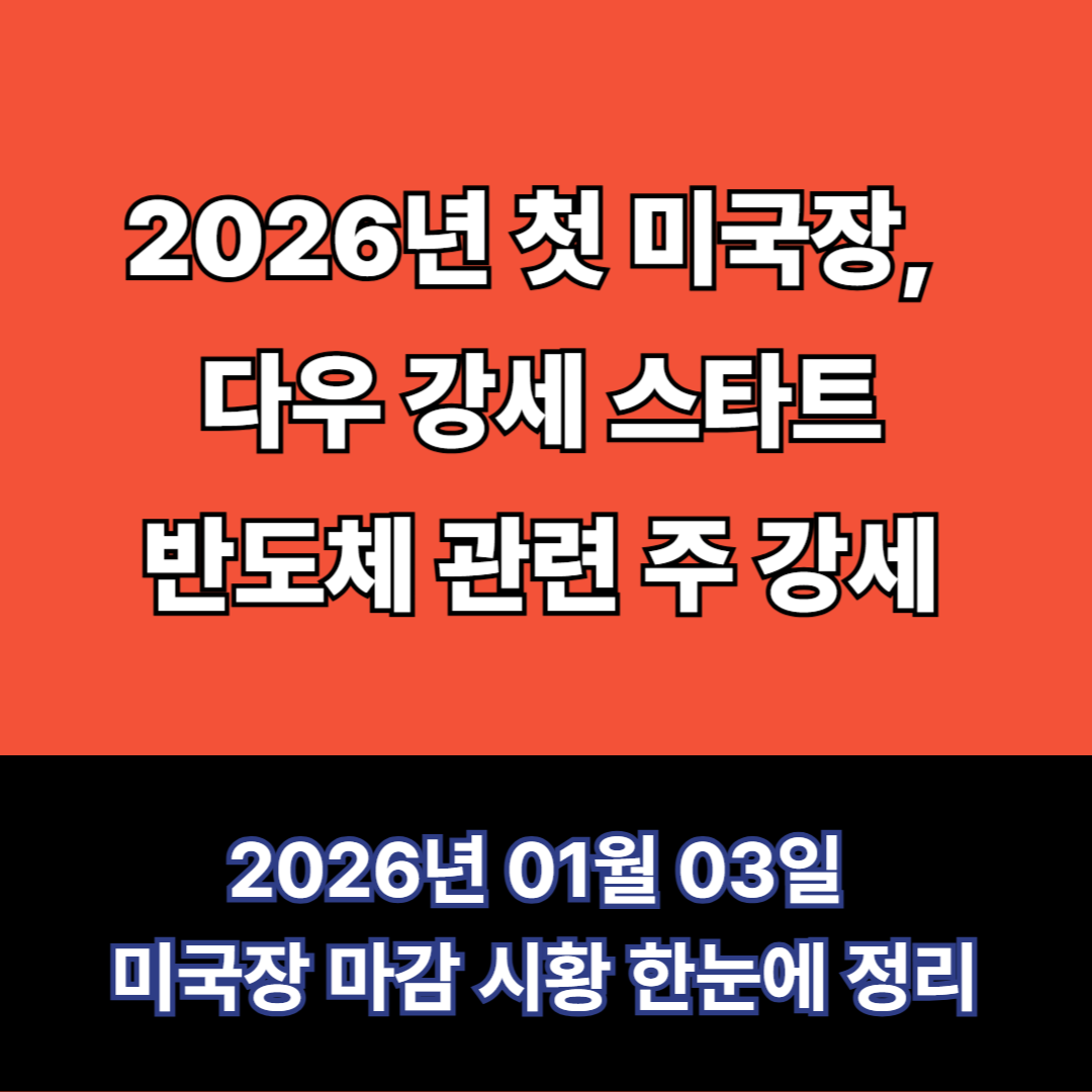 2026년 1월 3일 미국시황