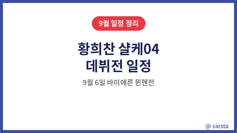 황희찬 샬케04 데뷔전